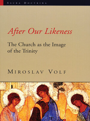 cover image of After Our Likeness